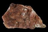 Natural, Red Quartz Crystal Cluster - Morocco #137458-1